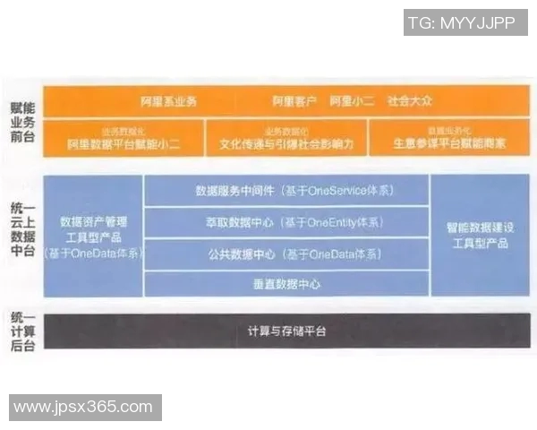 深圳羽毛球队的战术运营体系解析与实践经验分享