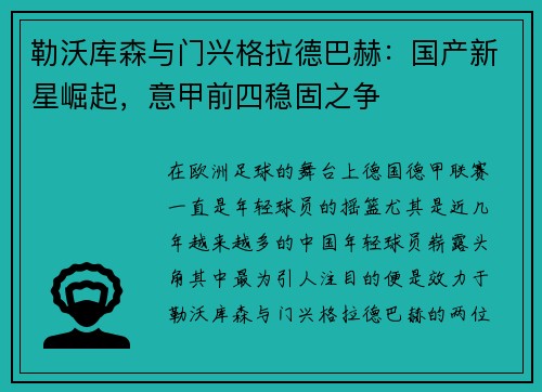 勒沃库森与门兴格拉德巴赫：国产新星崛起，意甲前四稳固之争